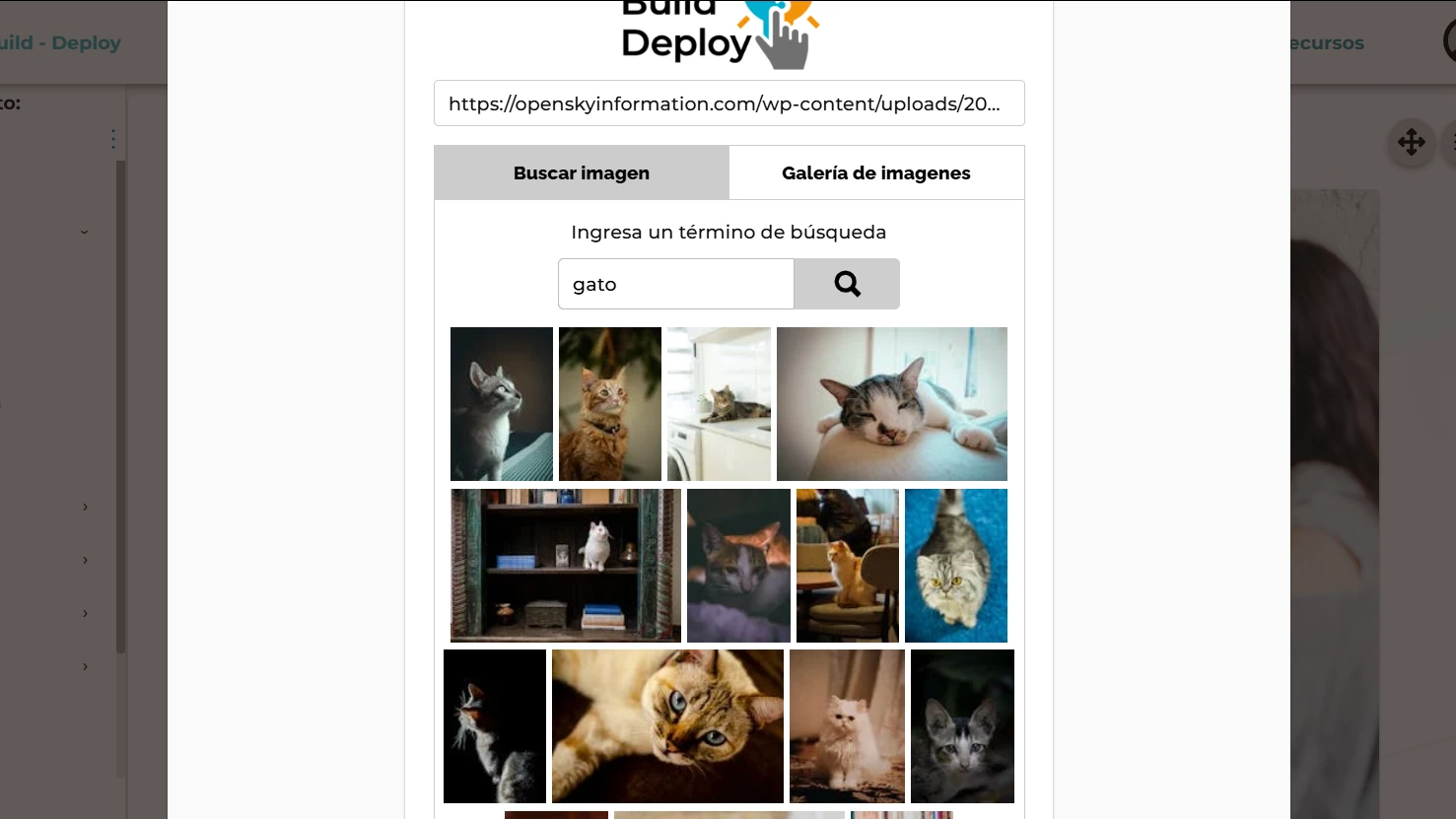 Integrated Image Search